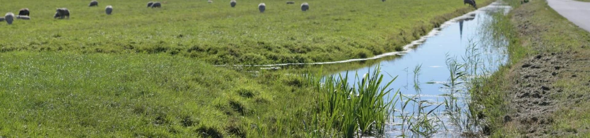 Geef water de ruimte, check uw sloot!